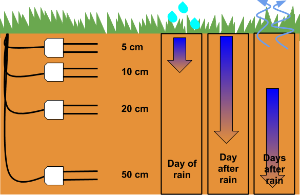 moisture takes longer to reach deeper parts of the soil profile